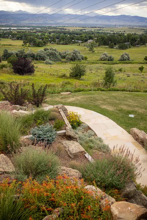 Landscape Maintenance in Broomfield, CO by LID Landscapes