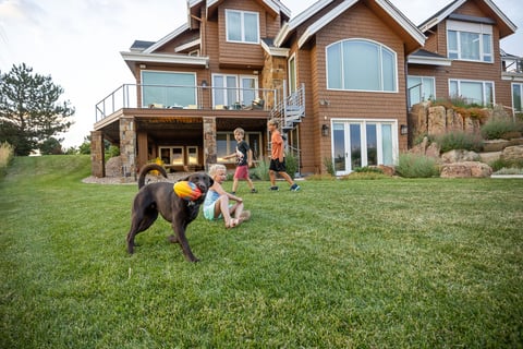 Residential landscape design kids dog grass 2