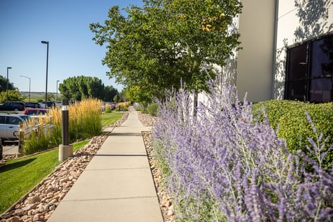 commecrial landscape maintenance flower beds