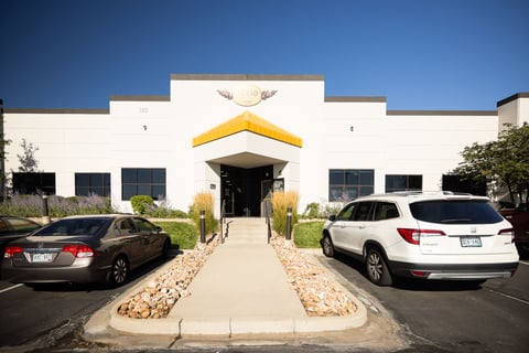 commercial landscape maintenance front entrance