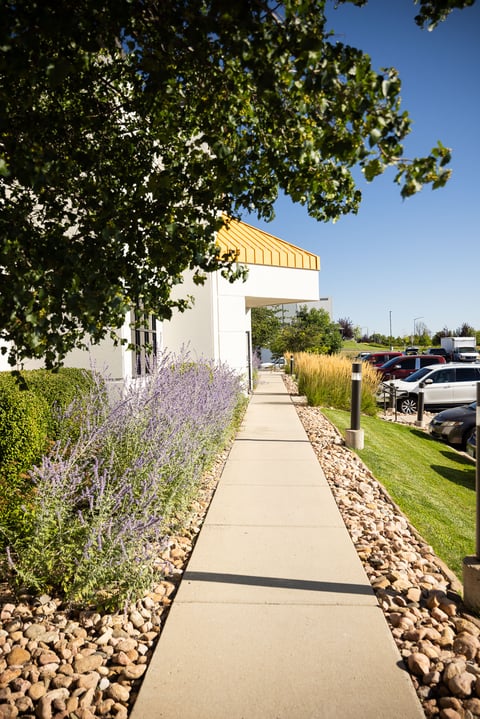 commercial landscape maintenance rock garden 2