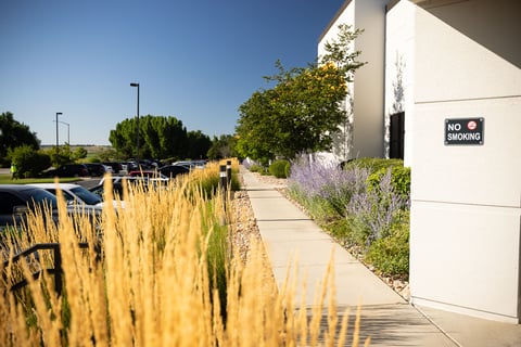 commercial landscape maintenance rock garden 3