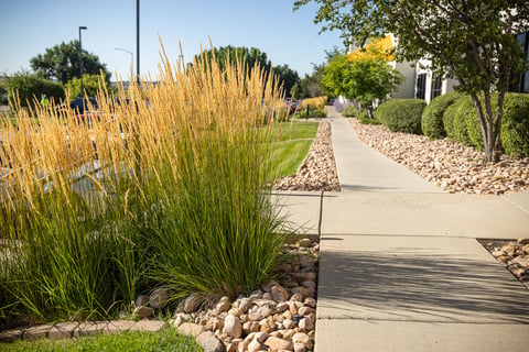 commercial landscape maintenance rock garden