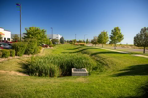 commercial property landscape maintenance drain 