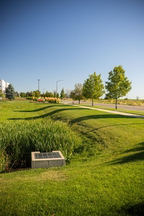 commercial property landscape maintenance drain 1