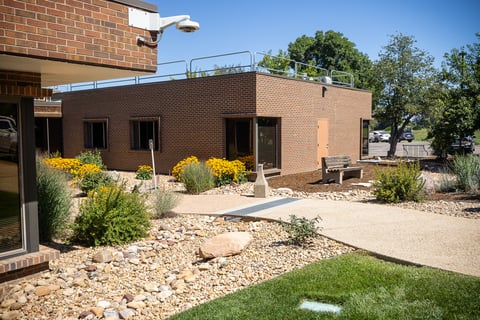commercial property maintenance flower beds