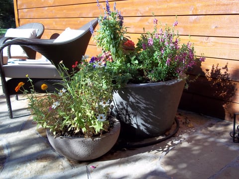 Bernal pots 007