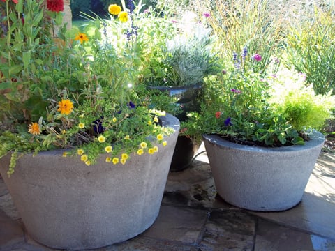 Bernal pots 008