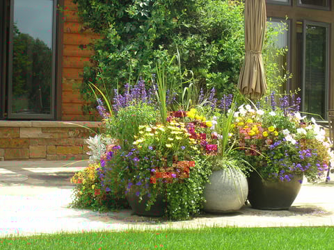 Annual-Pots-Sun