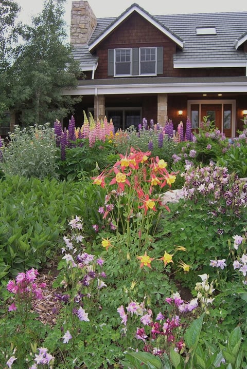 Full-Annuals-flowers-1-683x1024