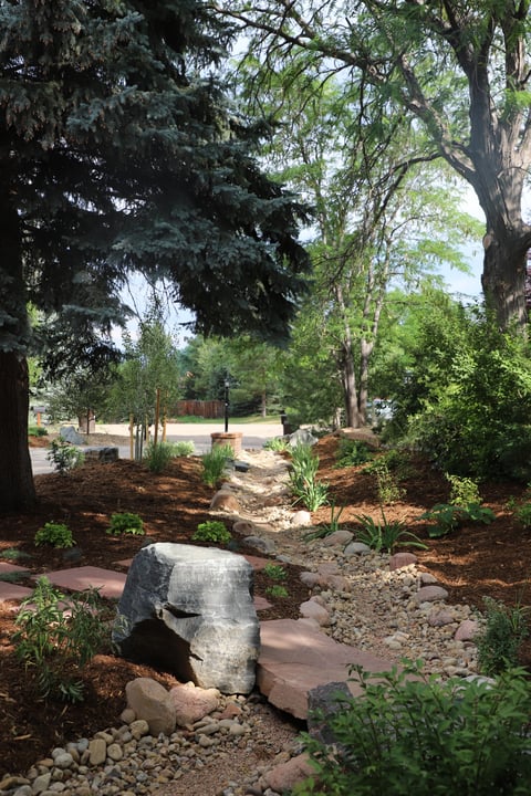 dry creek