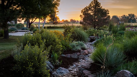 dry creek