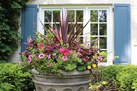 Sculpted-Concrete-Planter-Annuals