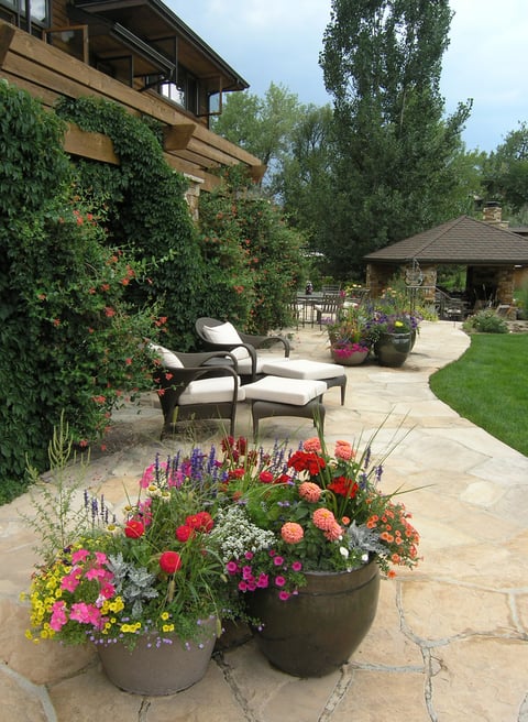 Small-Clustered-Pots annuals