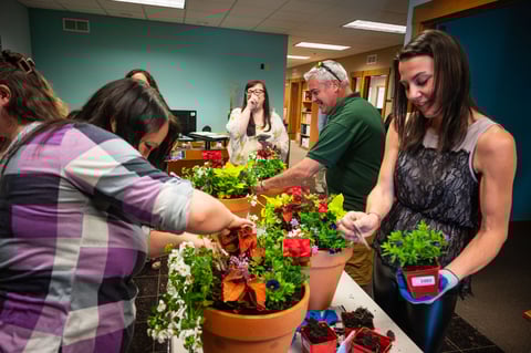 annuals planting