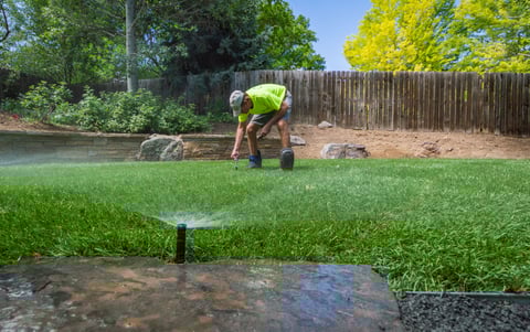 irrigation