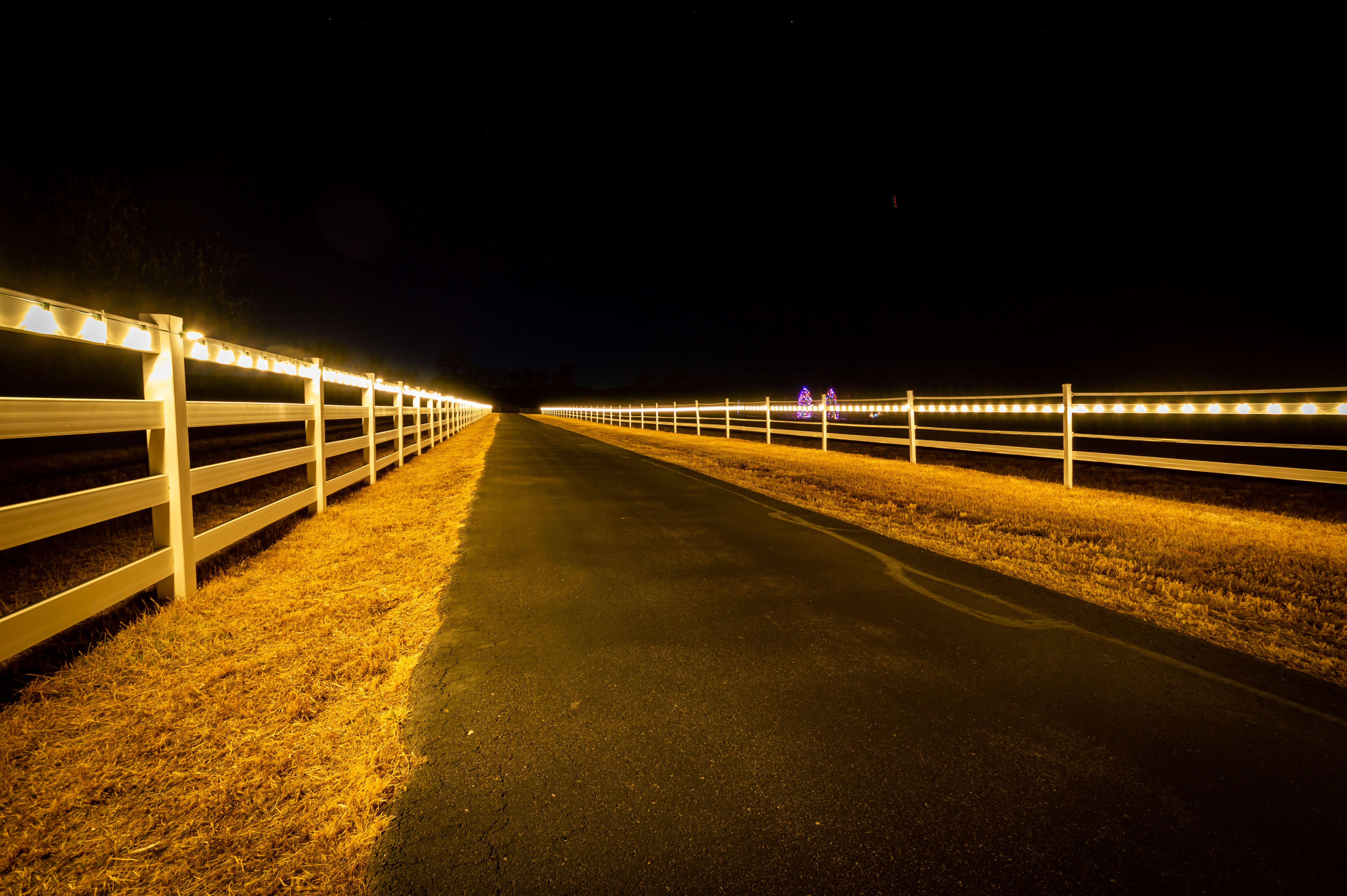 holiday lights along fence