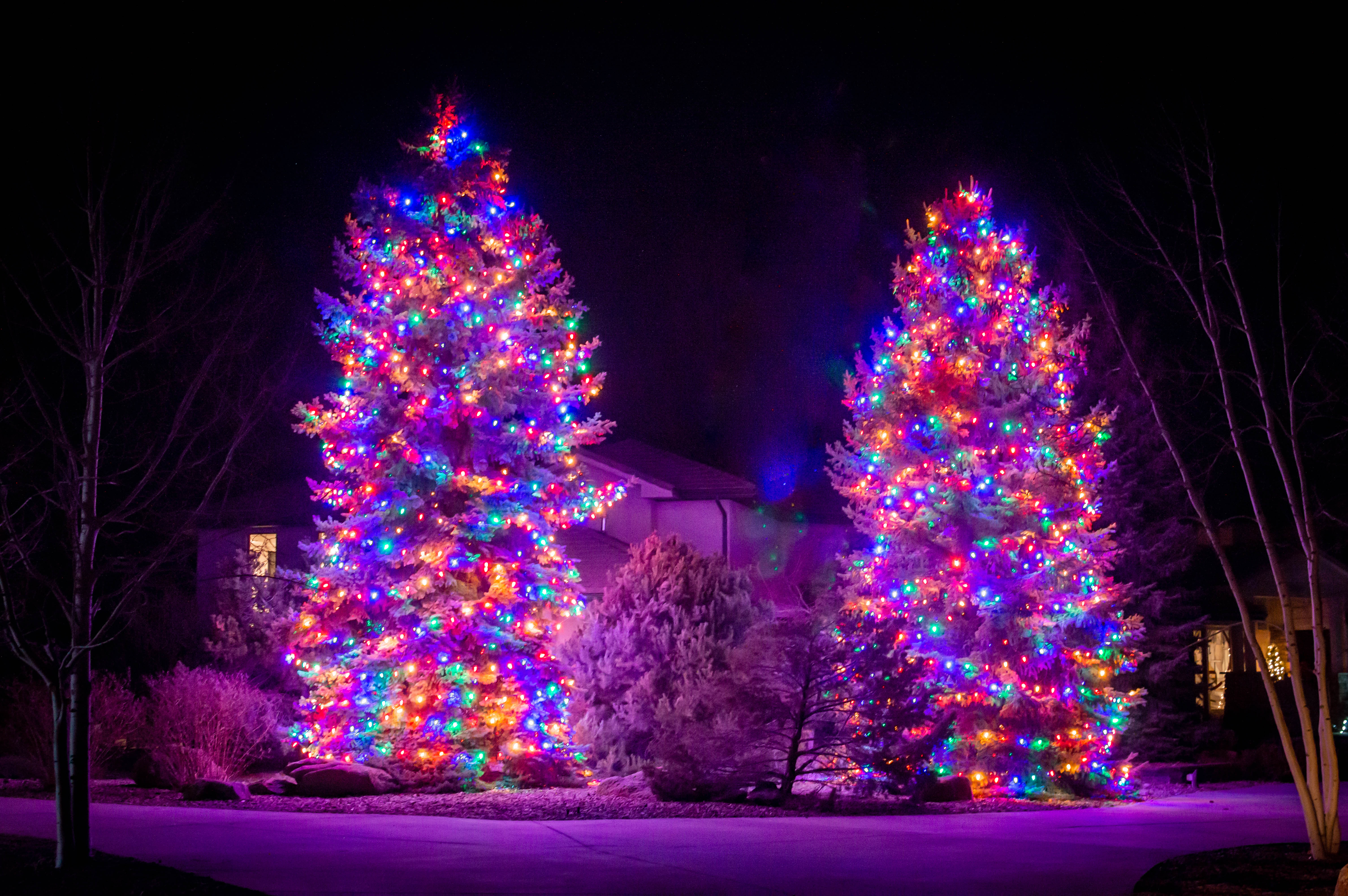 holidaylights-11