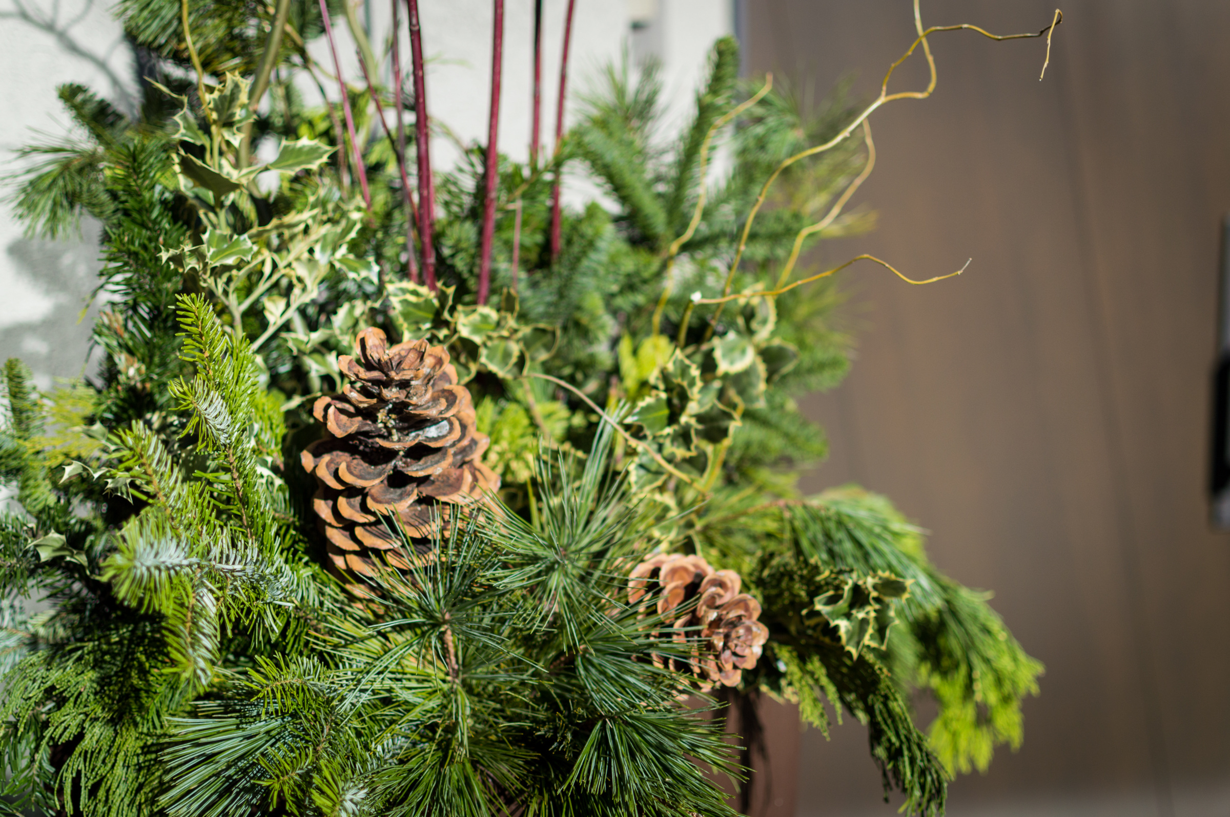 holidaypots-10