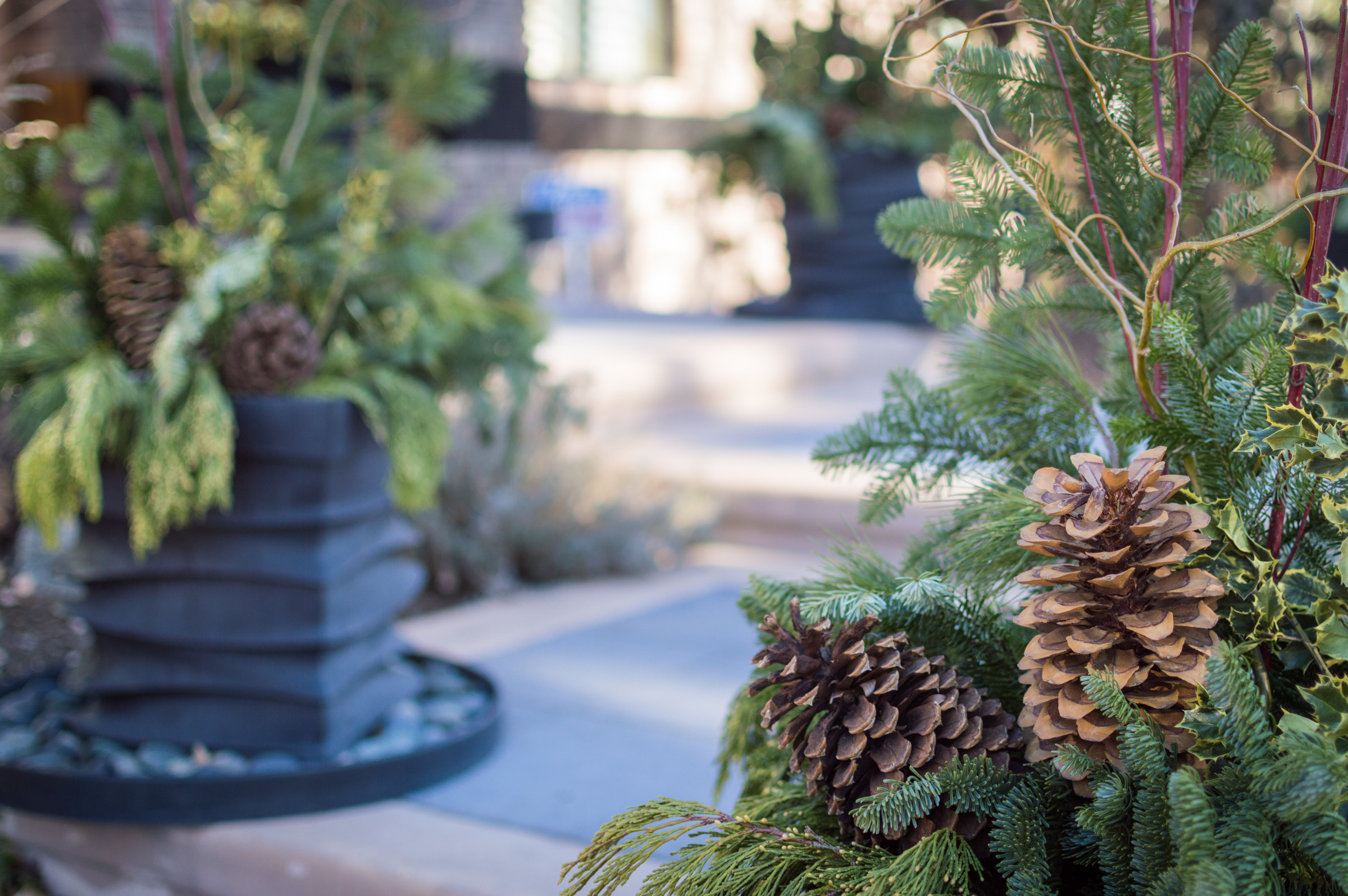 holidaypots-3