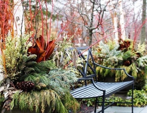 Learn more about Holiday Decorating Services by LID Landscapes