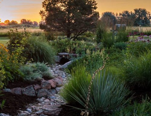 Landscaping for Water Draining in Colorado