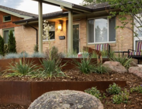 Xeriscaping in Colorado Tips For Implementing In Your Landscape