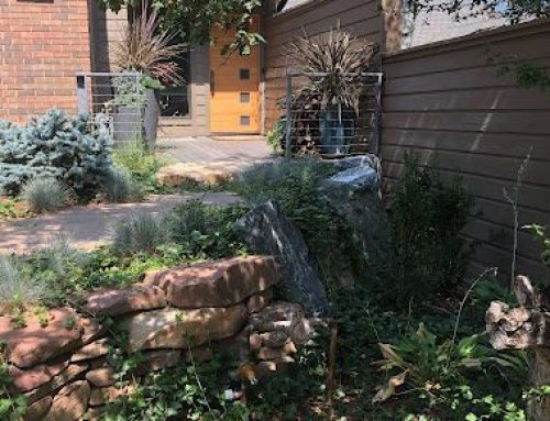 Xeriscaping in Colorado Tips For Implementing In Your Landscape