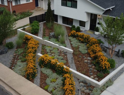 What Exactly is “Xeriscaping”?